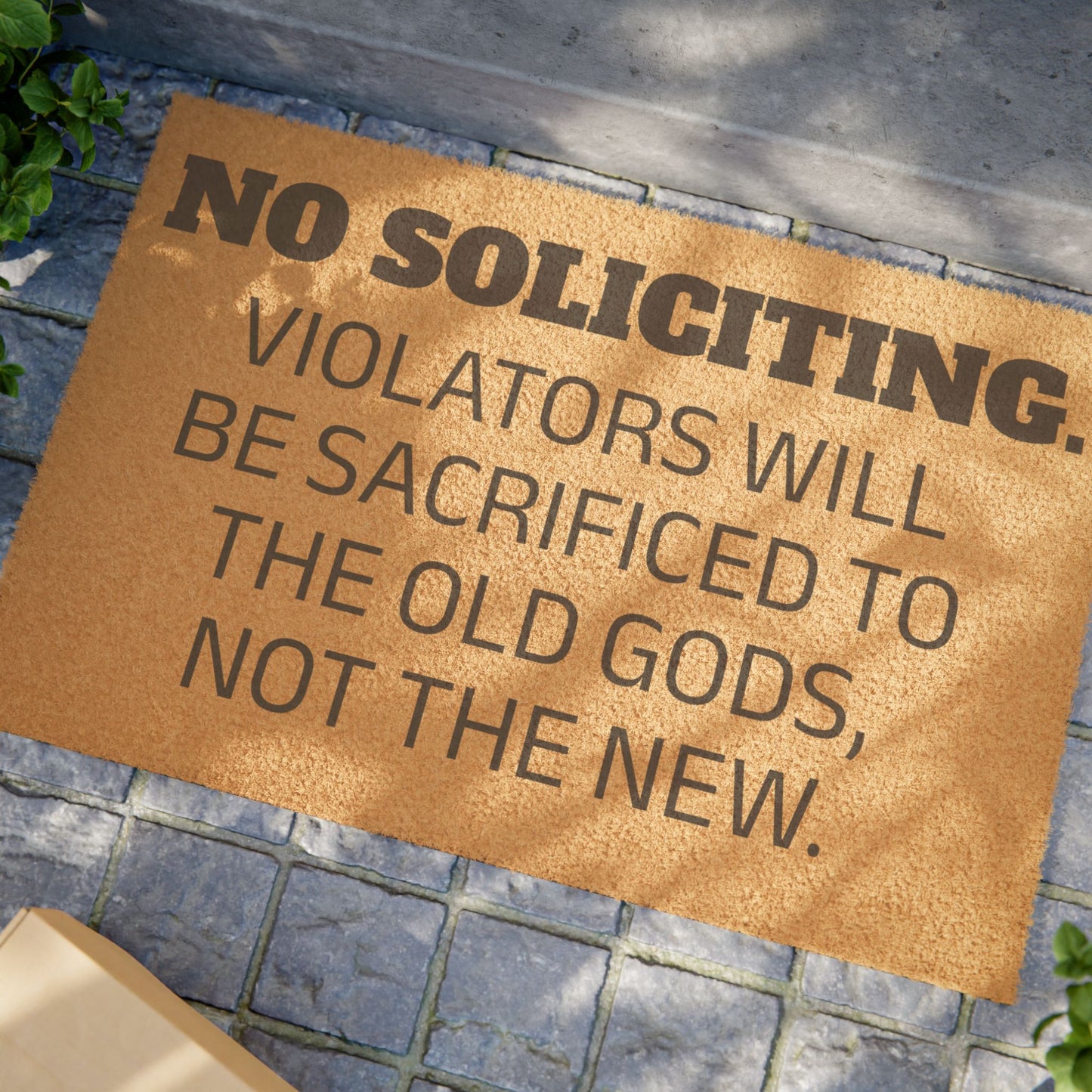 Old Gods Only – No Soliciting Doormat - Funny Home Decor for Welcoming Guests with Attitude, Ideal for Housewarming, Birthdays, or Just Because, Entryway Mat, [...]